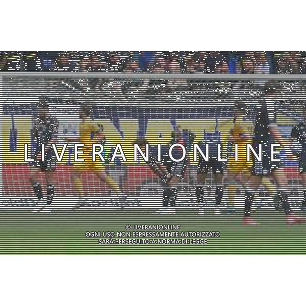 Frosinone vs Spezia Campionato Serie BKT - 35 Giornata Stadio Benito Stirpe - Frosinone 25-04-2025 nella foto Esultanza Bohinen ©FEDERICO GAETANO/AGENZIA ALDO LIVERANI SAS