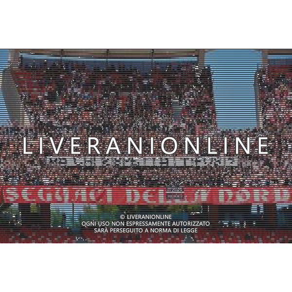 TVEM April 25, 2025 Bari, Italy - SSC Bari vs Modena FC 1912 - Italian soccer serie B 2024/25 - San Nicola Stadium. In the pic: Supporters of SSC Bari foto emmanuele mastrodonato-ag aldo liverani sas