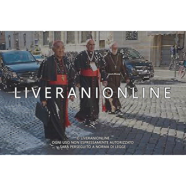 Roma - 02 Maggio 2025 Arrivo dei Cardinali all\'ottava Congregazione prima del Conclave Nella Foto: Cardinal Fernando Natalio Chomali Garib, Cardinal CELESTINO AOS BRACO  Andrea Bracaglia - AGENZIA ALDO LIVERANI SAS