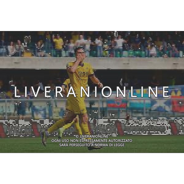 TVEM May 11, 2025 Verona, Italy - Hellas Verona vs US Lecce - Italian soccer serie A 2024/25 - Marcantonio Bentegodi Stadium. In the pic: Diego Coppola of Hellas Verona celebrates after scoring a goal foto emmanuele mastrodonato-ag aldo liverani sas