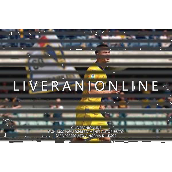TVEM May 11, 2025 Verona, Italy - Hellas Verona vs US Lecce - Italian soccer serie A 2024/25 - Marcantonio Bentegodi Stadium. In the pic: Diego Coppola of Hellas Verona celebrates after scoring a goal ©TVEM Emmanuele Mastrodonato - AGENZIA ALDO LIVERANI SAS