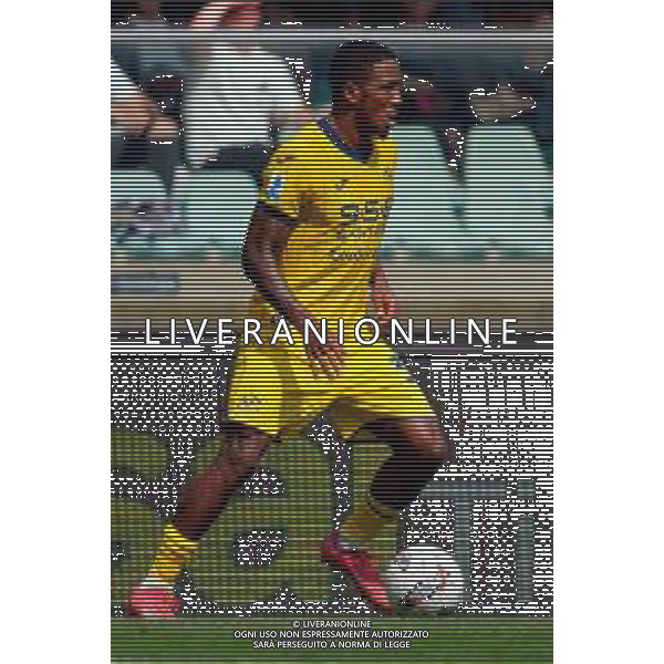 TVEM May 11, 2025 Verona, Italy - Hellas Verona vs US Lecce - Italian soccer serie A 2024/25 - Marcantonio Bentegodi Stadium. In the pic: Jackson Tchatchoua of Hellas Verona ©TVEM Emmanuele Mastrodonato - AGENZIA ALDO LIVERANI SAS