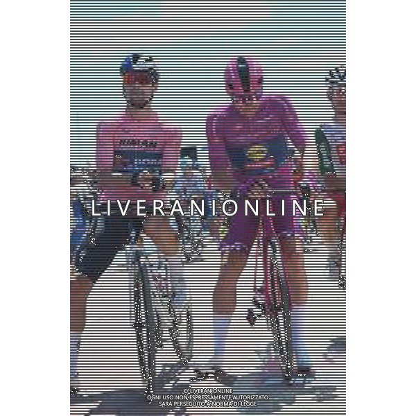 17-05-2025 Giro D\'italia; Tappa 08 Giulianova - Castelraimondo; 2025, Red Bull - Bora Hansgrohe; 2025, Lidl - Trek; Roglic, Primoz; Pedersen, Mads; Giulianova; ©SIROTTI - AGENZIA ALDO LIVERANI SAS