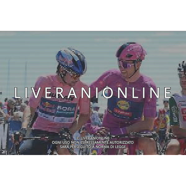 17-05-2025 Giro D\'italia; Tappa 08 Giulianova - Castelraimondo; 2025, Red Bull - Bora Hansgrohe; 2025, Lidl - Trek; Roglic, Primoz; Pedersen, Mads; Giulianova; ©SIROTTI - AGENZIA ALDO LIVERANI SAS