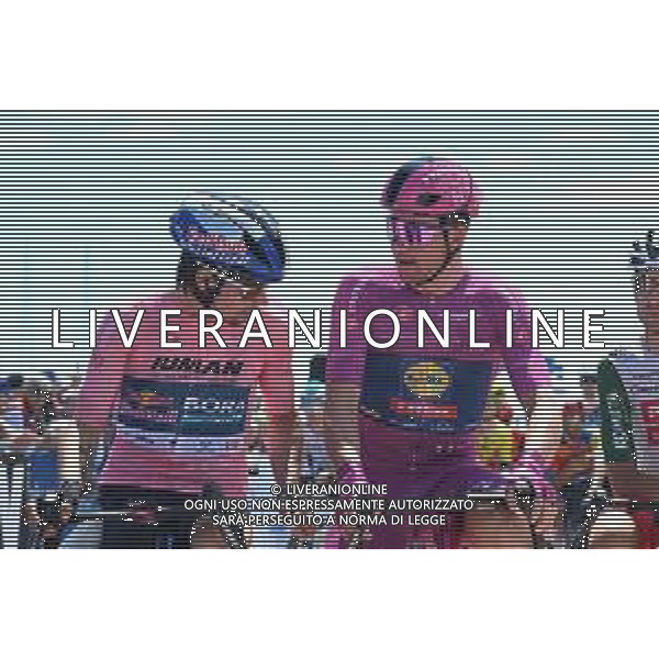 17-05-2025 Giro D\'italia; Tappa 08 Giulianova - Castelraimondo; 2025, Red Bull - Bora Hansgrohe; 2025, Lidl - Trek; Roglic, Primoz; Pedersen, Mads; Giulianova; ©SIROTTI - AGENZIA ALDO LIVERANI SAS