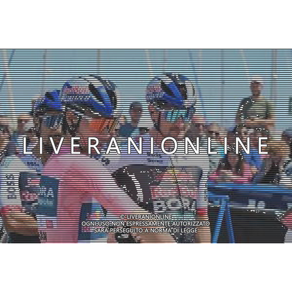 17-05-2025 Giro D\'italia; Tappa 08 Giulianova - Castelraimondo; 2025, Red Bull - Bora Hansgrohe; Roglic, Primoz; Denz, Nico; Giulianova; ©SIROTTI - AGENZIA ALDO LIVERANI SAS