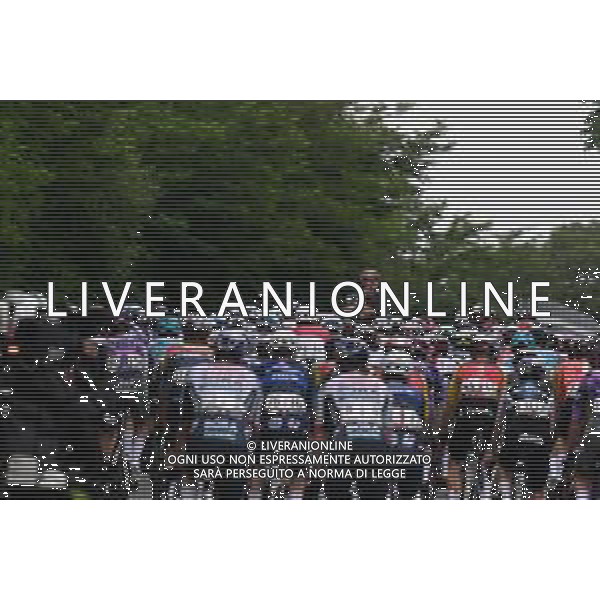 22-05-2025 Giro D\'italia; Tappa 12 Modena - Viadana; Allocchio, Stefano; Modena; ©SIROTTI - AGENZIA ALDO LIVERANI SAS