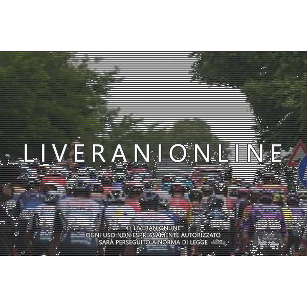 22-05-2025 Giro D\'italia; Tappa 12 Modena - Viadana; Allocchio, Stefano; Modena; ©SIROTTI - AGENZIA ALDO LIVERANI SAS