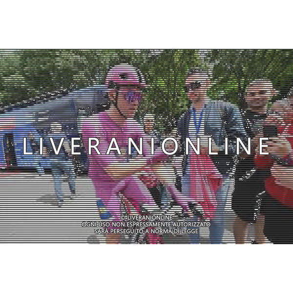 23-05-2025 Giro D\'italia; Tappa 13 Rovigo - Vicenza; 2025, Lidl - Trek; Pedersen, Mads; Rovigo; ©SIROTTI - AGENZIA ALDO LIVERANI SAS