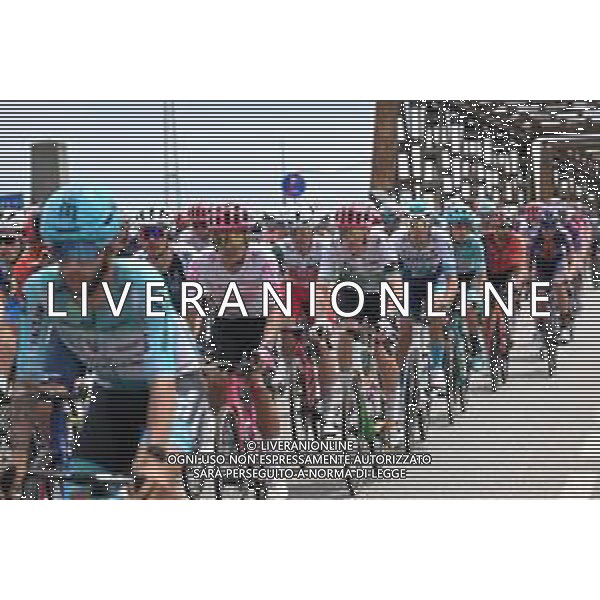 23-05-2025 Giro D\'italia; Tappa 13 Rovigo - Vicenza; 2025, Ef Education - Easypost; Carapaz Antonio, Richard Antonio; Rafferty, Darren; ©SIROTTI - AGENZIA ALDO LIVERANI SAS