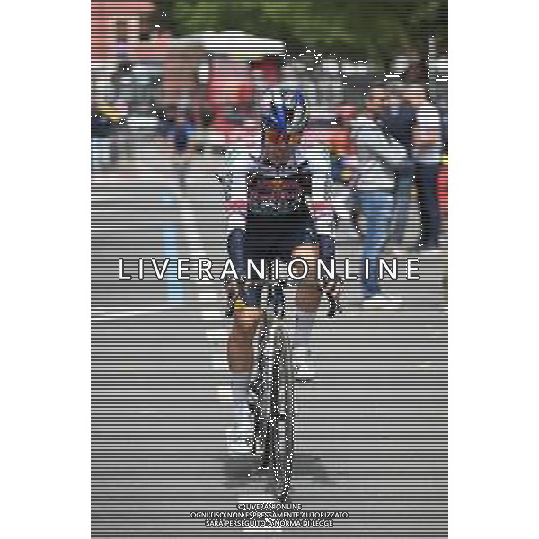 23-05-2025 Giro D\'italia; Tappa 13 Rovigo - Vicenza; 2025, Red Bull - Bora Hansgrohe; Roglic, Primoz; Rovigo; ©SIROTTI - AGENZIA ALDO LIVERANI SAS