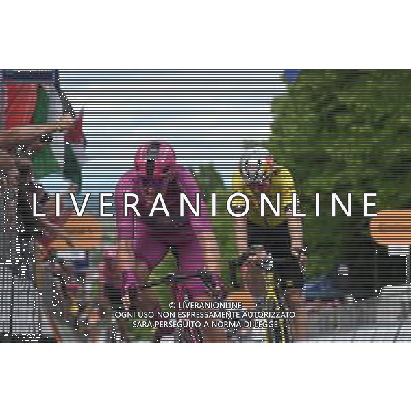 23-05-2025 Giro D\'italia; Tappa 13 Rovigo - Vicenza; 2025, Lidl - Trek; 2025, Visma - Lease A Bike; Pedersen, Mads; Van Aert, Wout; Vicenza - Monte Berico; ©SIROTTI - AGENZIA ALDO LIVERANI SAS
