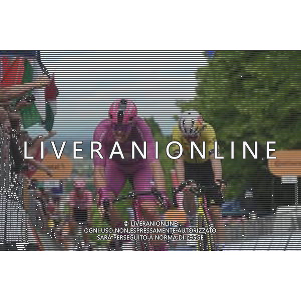 23-05-2025 Giro D\'italia; Tappa 13 Rovigo - Vicenza; 2025, Lidl - Trek; 2025, Visma - Lease A Bike; Pedersen, Mads; Van Aert, Wout; Vicenza - Monte Berico; ©SIROTTI - AGENZIA ALDO LIVERANI SAS