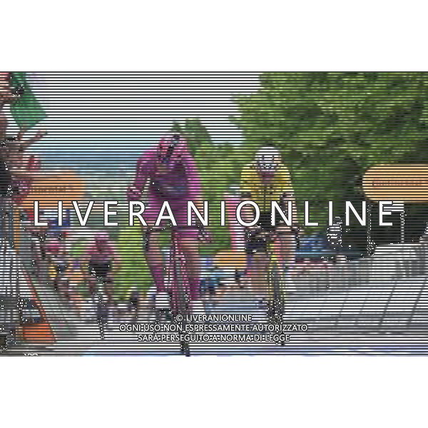 23-05-2025 Giro D\'italia; Tappa 13 Rovigo - Vicenza; 2025, Lidl - Trek; Pedersen, Mads; Vicenza - Monte Berico; ©SIROTTI - AGENZIA ALDO LIVERANI SAS