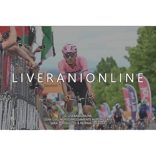 23-05-2025 Giro D\'italia; Tappa 13 Rovigo - Vicenza; 2025, Uae Team Emirates - Xrg; Del Toro Romero, Isaac; Vicenza - Monte Berico; ©SIROTTI - AGENZIA ALDO LIVERANI SAS