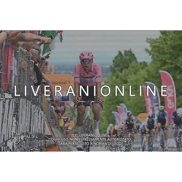 23-05-2025 Giro D\'italia; Tappa 13 Rovigo - Vicenza; 2025, Uae Team Emirates - Xrg; Del Toro Romero, Isaac; Vicenza - Monte Berico; ©SIROTTI - AGENZIA ALDO LIVERANI SAS