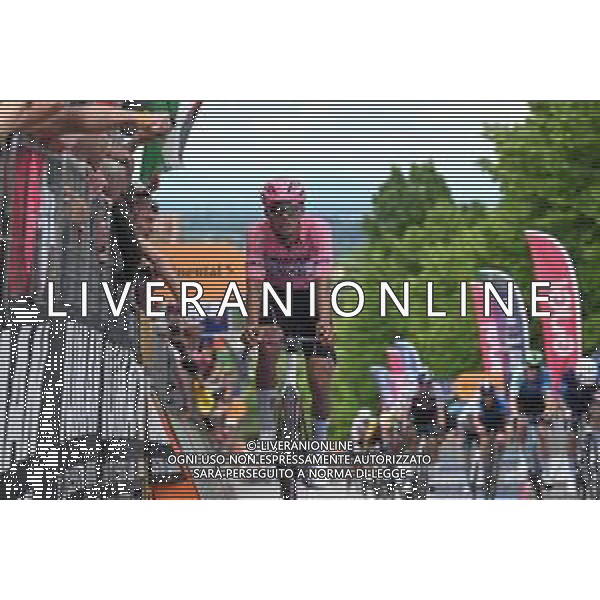 23-05-2025 Giro D\'italia; Tappa 13 Rovigo - Vicenza; 2025, Uae Team Emirates - Xrg; Del Toro Romero, Isaac; Vicenza - Monte Berico; ©SIROTTI - AGENZIA ALDO LIVERANI SAS