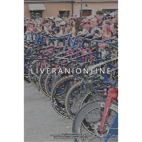 24-05-2025 Giro D\'italia; Tappa 14 Treviso - Gorizia; Treviso; ©SIROTTI - AGENZIA ALDO LIVERANI SAS