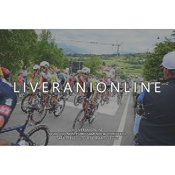 25-05-2025 Giro D\'italia; Tappa 15 Fiume Veneto - Asiago; 2025, Intermarche - Wanty; Van Der Hoorn, Taco; Ca\' Del Poggio; ©SIROTTI - AGENZIA ALDO LIVERANI SAS