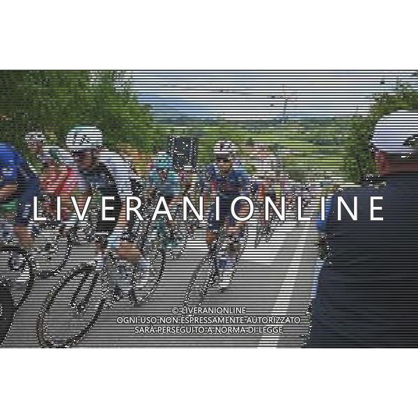25-05-2025 Giro D\'italia; Tappa 15 Fiume Veneto - Asiago; 2025, Q36.5; Moschetti, Matteo; Ca\' Del Poggio; ©SIROTTI - AGENZIA ALDO LIVERANI SAS