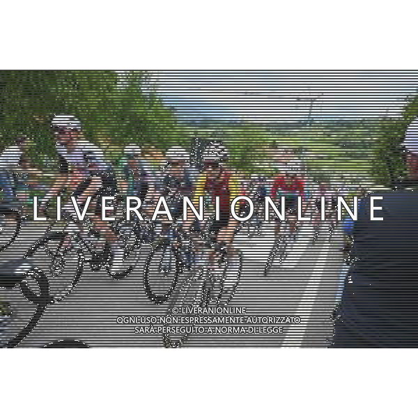 25-05-2025 Giro D\'italia; Tappa 15 Fiume Veneto - Asiago; 2025, Cofidis; Oldani, Stefano; Ca\' Del Poggio; ©SIROTTI - AGENZIA ALDO LIVERANI SAS