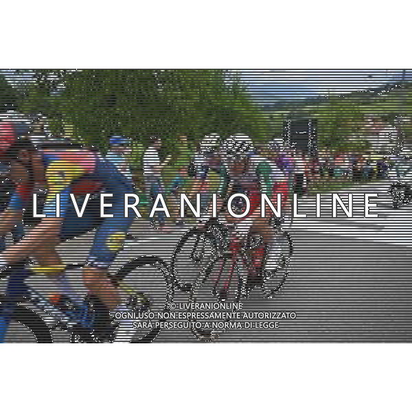 25-05-2025 Giro D\'italia; Tappa 15 Fiume Veneto - Asiago; 2025, Polti - Visit Malta; Bais, Mattia; Ca\' Del Poggio; ©SIROTTI - AGENZIA ALDO LIVERANI SAS