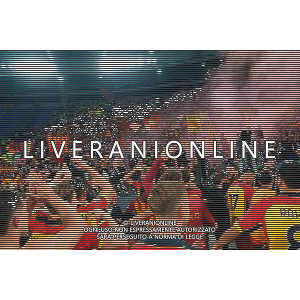 TVEM May 25, 2025 Roma, Italy - SS Lazio vs US Lecce - Italian soccer serie A 2024/25 - Olympic Stadium. In the pic: players of US Lecce and Supporters of US Lecce celebrates the victory ©TVEM Emmanuele Mastrodonato - AGENZIA ALDO LIVERANI SAS