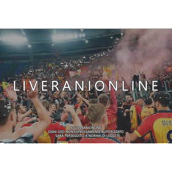 TVEM May 25, 2025 Roma, Italy - SS Lazio vs US Lecce - Italian soccer serie A 2024/25 - Olympic Stadium. In the pic: players of US Lecce and Supporters of US Lecce celebrates the victory ©TVEM Emmanuele Mastrodonato - AGENZIA ALDO LIVERANI SAS