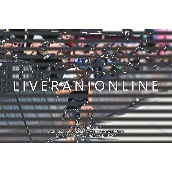 27-05-2025 Giro D\'italia; Tappa 16 Piazzola Sul Brenta - Brentonico San Valentino; 2025, Red Bull - Bora Hansgrohe; Pellizzari, Giulio; Brentonico San Valentino; ©SIROTTI - AGENZIA ALDO LIVERANI SAS
