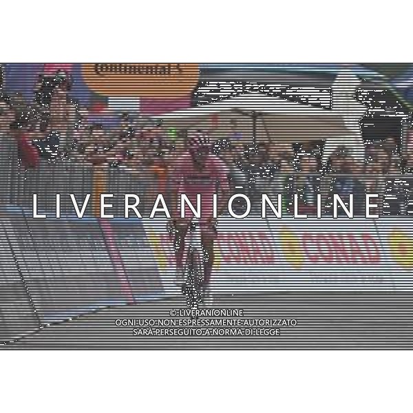 28-05-2025 Giro D\'italia; Tappa 17 San Michele All\'adige - Bormio; 2025, Uae Team Emirates - Xrg; Del Toro Romero, Isaac; Bormio; foto stefano sirotti-ag aldo liverani sas