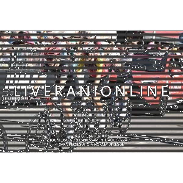 29-05-2025 Giro D\'italia; Tappa 18 Morbegno - Cesano Maderno; 2025, Tudor; Pluimers, Rick; Cesano Maderno; ©SIROTTI - AGENZIA ALDO LIVERANI SAS