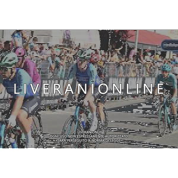 29-05-2025 Giro D\'italia; Tappa 18 Morbegno - Cesano Maderno; 2025, Decathlon - Ag2r La Mondiale; Dewulf, Stan; Cesano Maderno; ©SIROTTI - AGENZIA ALDO LIVERANI SAS