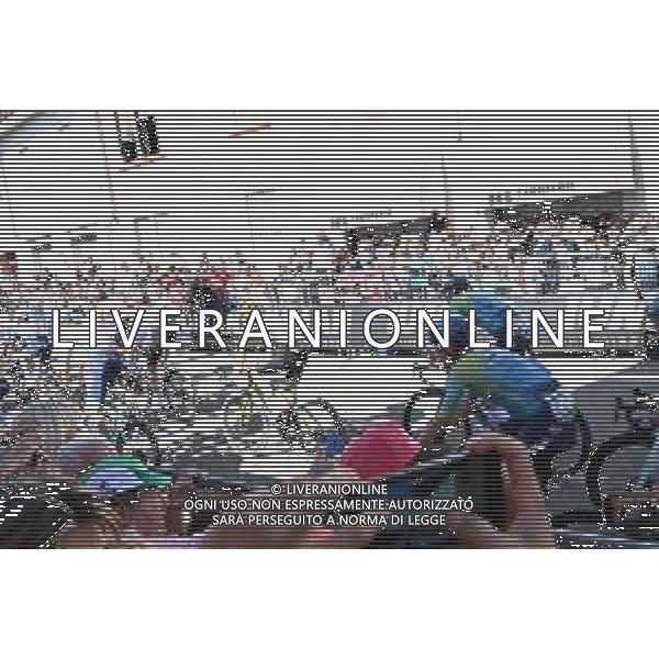 29-05-2025 Giro D\'italia; Tappa 18 Morbegno - Cesano Maderno; Cesano Maderno; ©SIROTTI - AGENZIA ALDO LIVERANI SAS