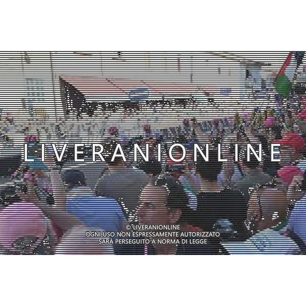 29-05-2025 Giro D\'italia; Tappa 18 Morbegno - Cesano Maderno; 2025, Ef Education - Easypost; Carapaz Antonio, Richard Antonio; Cesano Maderno; ©SIROTTI - AGENZIA ALDO LIVERANI SAS