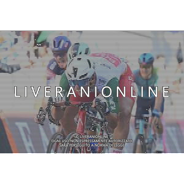 29-05-2025 Giro D\'italia; Tappa 18 Morbegno - Cesano Maderno; 2025, Polti - Visit Malta; Maestri, Mirco; Cesano Maderno; ©SIROTTI - AGENZIA ALDO LIVERANI SAS
