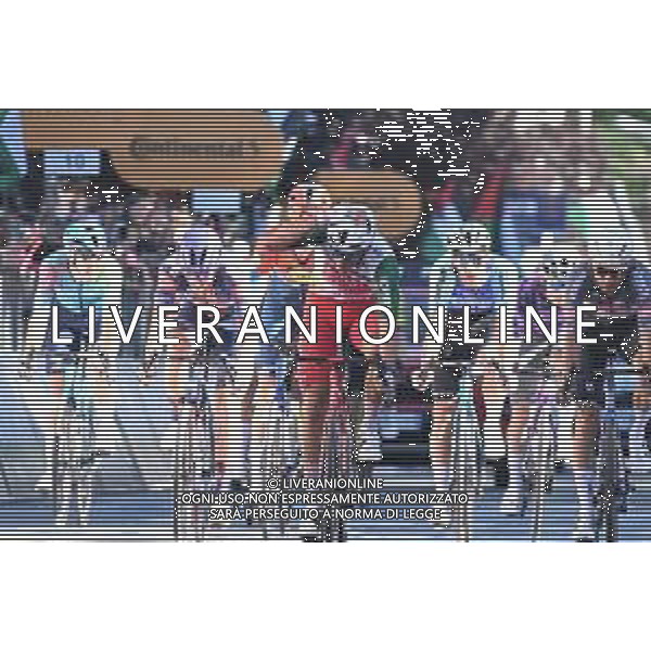 29-05-2025 Giro D\'italia; Tappa 18 Morbegno - Cesano Maderno; 2025, Polti - Visit Malta; Maestri, Mirco; Cesano Maderno; ©SIROTTI - AGENZIA ALDO LIVERANI SAS
