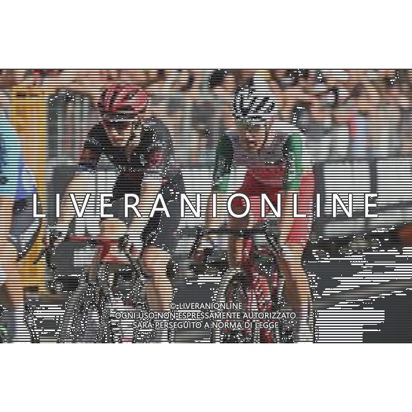 29-05-2025 Giro D\'italia; Tappa 18 Morbegno - Cesano Maderno; 2025, Tudor; Cesano Maderno; ©SIROTTI - AGENZIA ALDO LIVERANI SAS