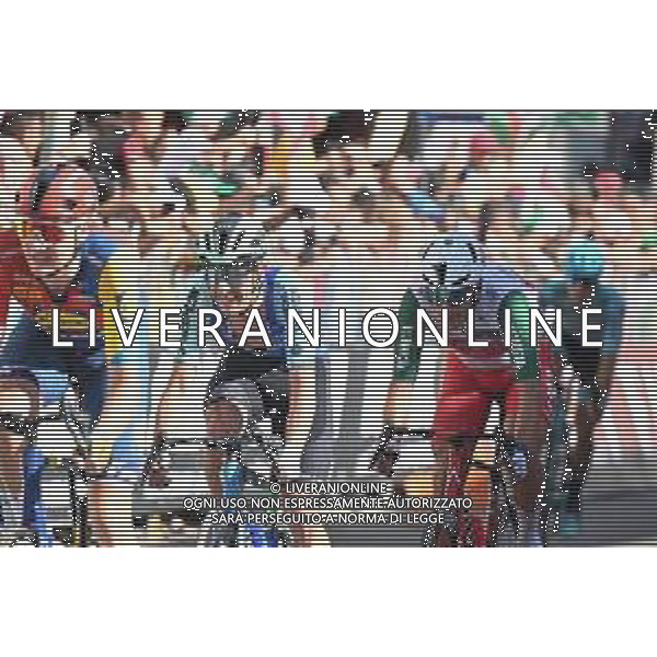 29-05-2025 Giro D\'italia; Tappa 18 Morbegno - Cesano Maderno; 2025, Decathlon - Ag2r La Mondiale; De Bondt, Dries; Cesano Maderno; ©SIROTTI - AGENZIA ALDO LIVERANI SAS