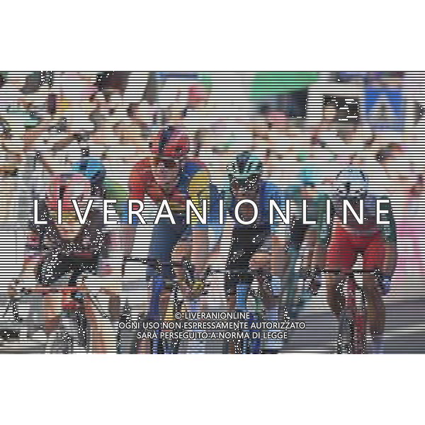 29-05-2025 Giro D\'italia; Tappa 18 Morbegno - Cesano Maderno; 2025, Lidl - Trek; Hoole, Daan; Cesano Maderno; ©SIROTTI - AGENZIA ALDO LIVERANI SAS