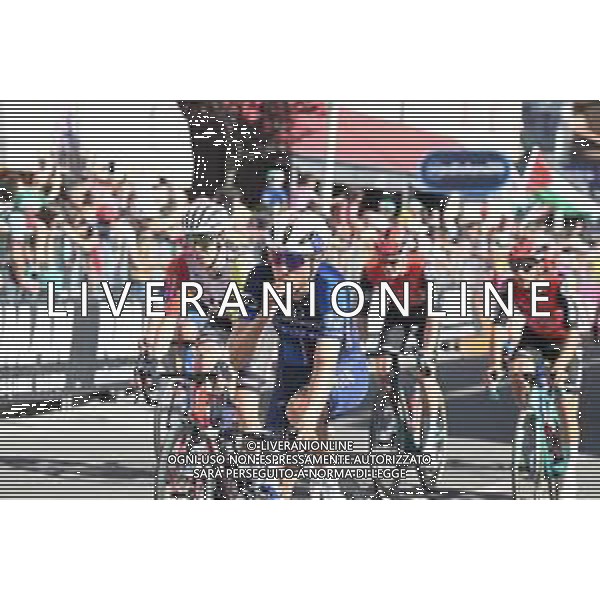 29-05-2025 Giro D\'italia; Tappa 18 Morbegno - Cesano Maderno; 2025, Groupama - Fdj; Germani, Lorenzo; Cesano Maderno; ©SIROTTI - AGENZIA ALDO LIVERANI SAS