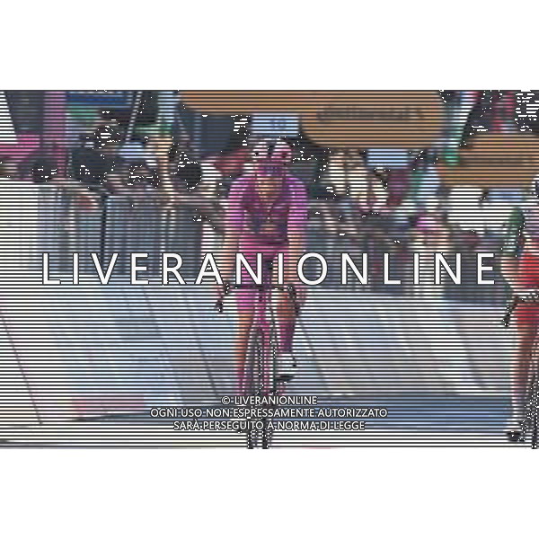 29-05-2025 Giro D\'italia; Tappa 18 Morbegno - Cesano Maderno; 2025, Lidl - Trek; Pedersen, Mads; Cesano Maderno; ©SIROTTI - AGENZIA ALDO LIVERANI SAS