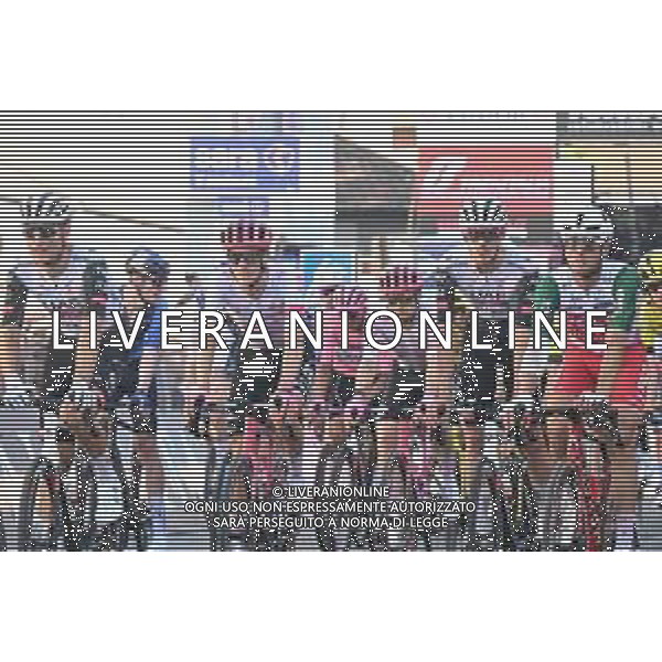 29-05-2025 Giro D\'italia; Tappa 18 Morbegno - Cesano Maderno; 2025, Ef Education - Easypost; Honore, Mikkel Frolich; Cesano Maderno; ©SIROTTI - AGENZIA ALDO LIVERANI SAS