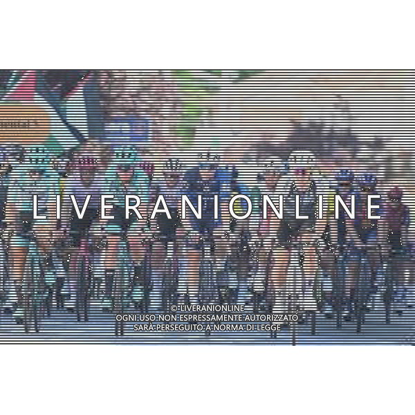29-05-2025 Giro D\'italia; Tappa 18 Morbegno - Cesano Maderno; 2025, Groupama - Fdj; Davy, Clement; Cesano Maderno; ©SIROTTI - AGENZIA ALDO LIVERANI SAS