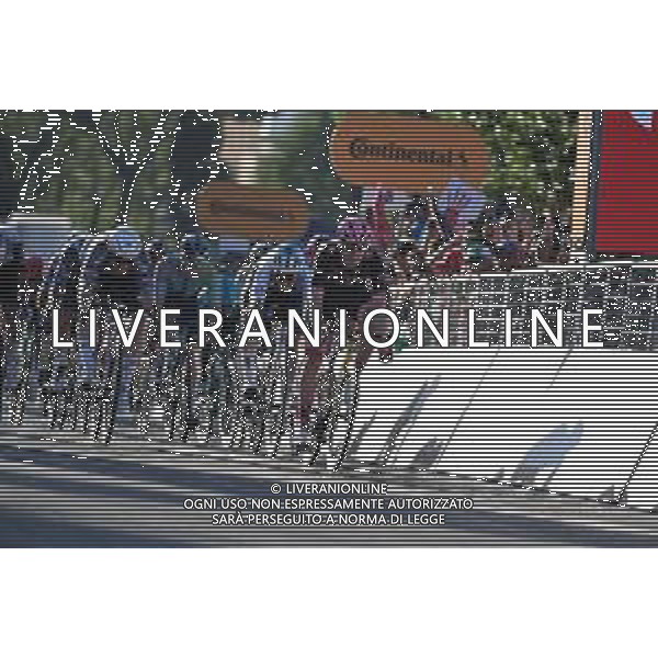 01-06-2025 Giro D\'italia; Tappa 21 Roma - Roma; 2025, Visma - Lease A Bike; Kooij, Olav; Roma; ©SIROTTI - AGENZIA ALDO LIVERANI SAS
