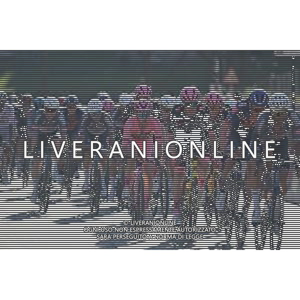 01-06-2025 Giro D\'italia; Tappa 21 Roma - Roma; 2025, Visma - Lease A Bike; Yates, Simon; Van Baarle, Dylan; Roma; ©SIROTTI - AGENZIA ALDO LIVERANI SAS
