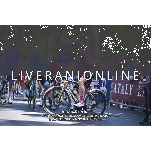 01-06-2025 Giro D\'italia; Tappa 21 Roma - Roma; 2025, Visma - Lease A Bike; Van Aert, Wout; Roma; ©SIROTTI - AGENZIA ALDO LIVERANI SAS