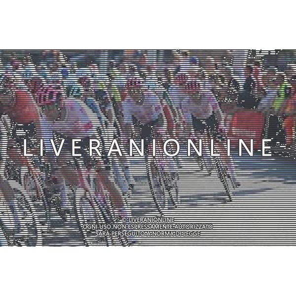 01-06-2025 Giro D\'italia; Tappa 21 Roma - Roma; 2025, Ef Education - Easypost; Carapaz Antonio, Richard Antonio; Roma; ©SIROTTI - AGENZIA ALDO LIVERANI SAS