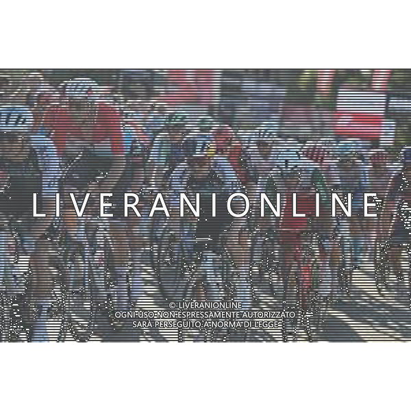 01-06-2025 Giro D\'italia; Tappa 21 Roma - Roma; 2025, Q36.5; Pidcock, Thomas; Roma; ©SIROTTI - AGENZIA ALDO LIVERANI SAS