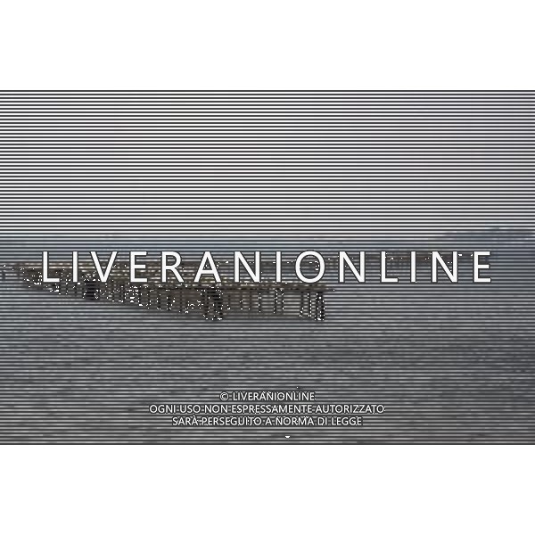 DIAP-ALLEVAMENTO DI COZZE AG ALDO LIVERANI SAS