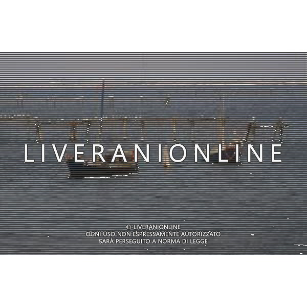 DIAP-ALLEVAMENTO DI COZZE AG ALDO LIVERANI SAS